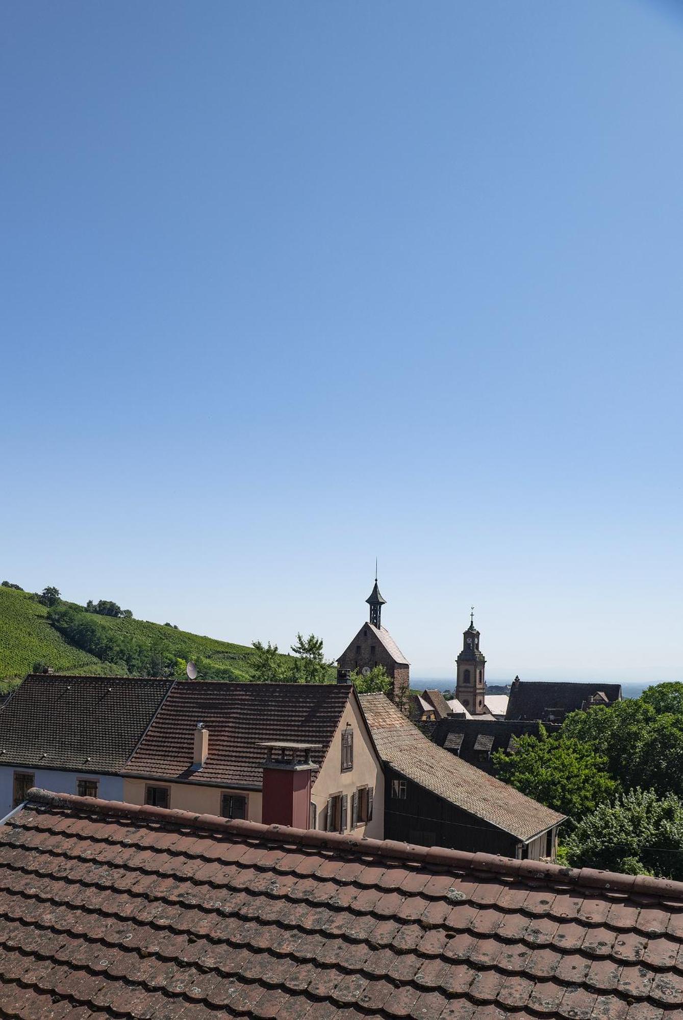 Riesling - Vue Imprenable Sur Le Vignoble - Renove Recemment - Parking Gratuit Apartment Riquewihr Exterior photo