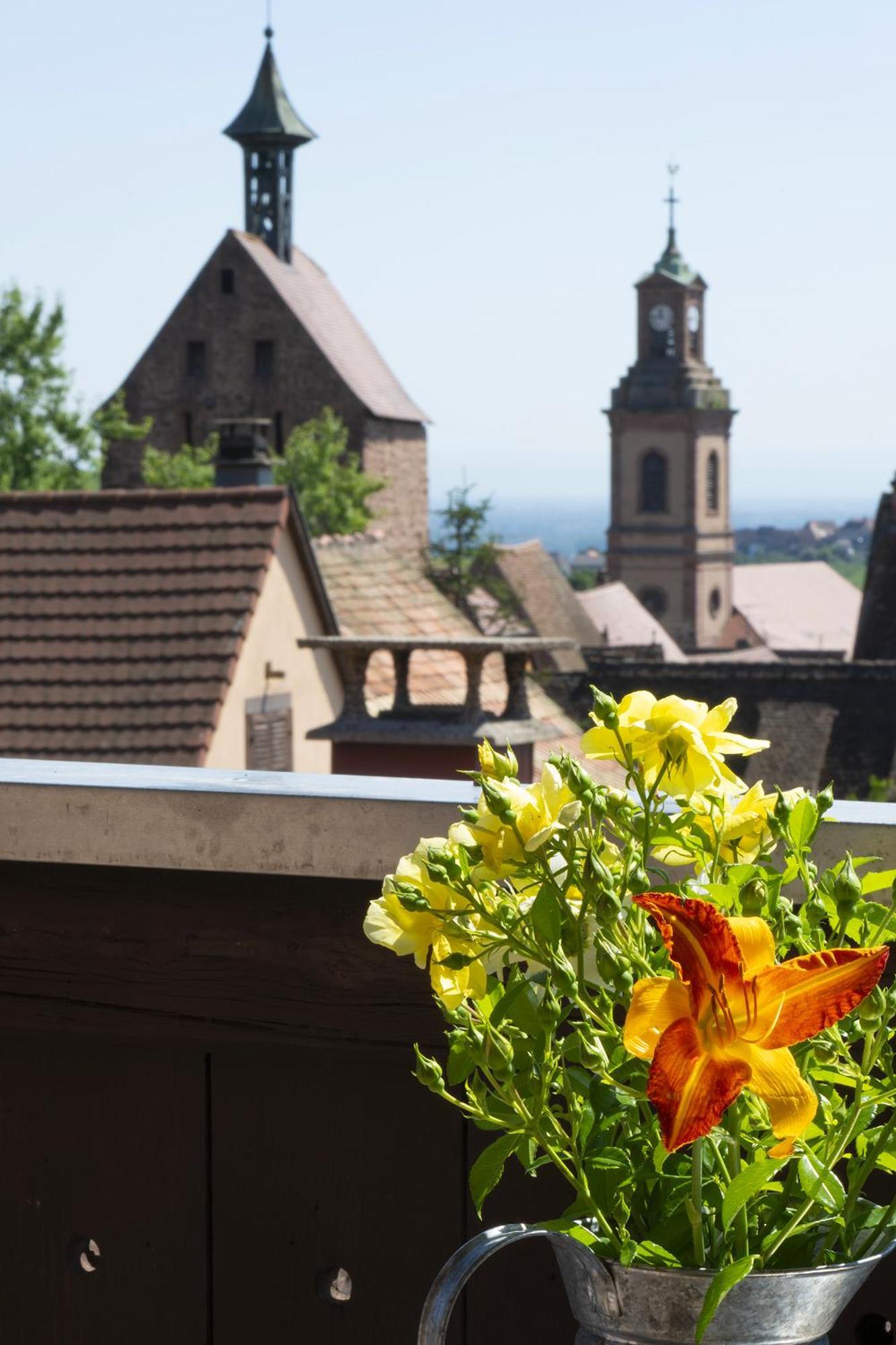 Riesling - Vue Imprenable Sur Le Vignoble - Renove Recemment - Parking Gratuit Apartment Riquewihr Exterior photo